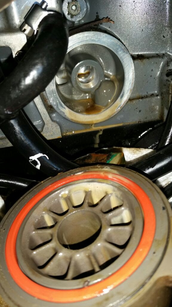 2003 DF140 Oil Cooler | Sea Pro Boat Owners Forum