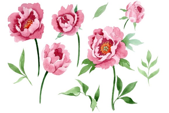 Cameo Dark Red Peony Flower Watercolor Print on Demands Design by MyStocks Compatible with Silhouette, Cricut and other cutting machines.