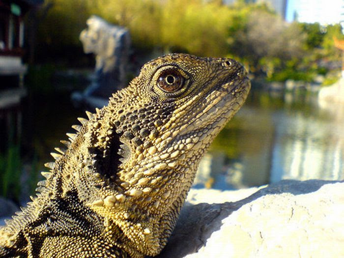Beautiful Photos Taken with Camera Phones (35 pics)