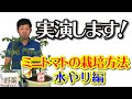 野菜 水やり 頻度 夏 326112-野菜 水やり 頻度 夏