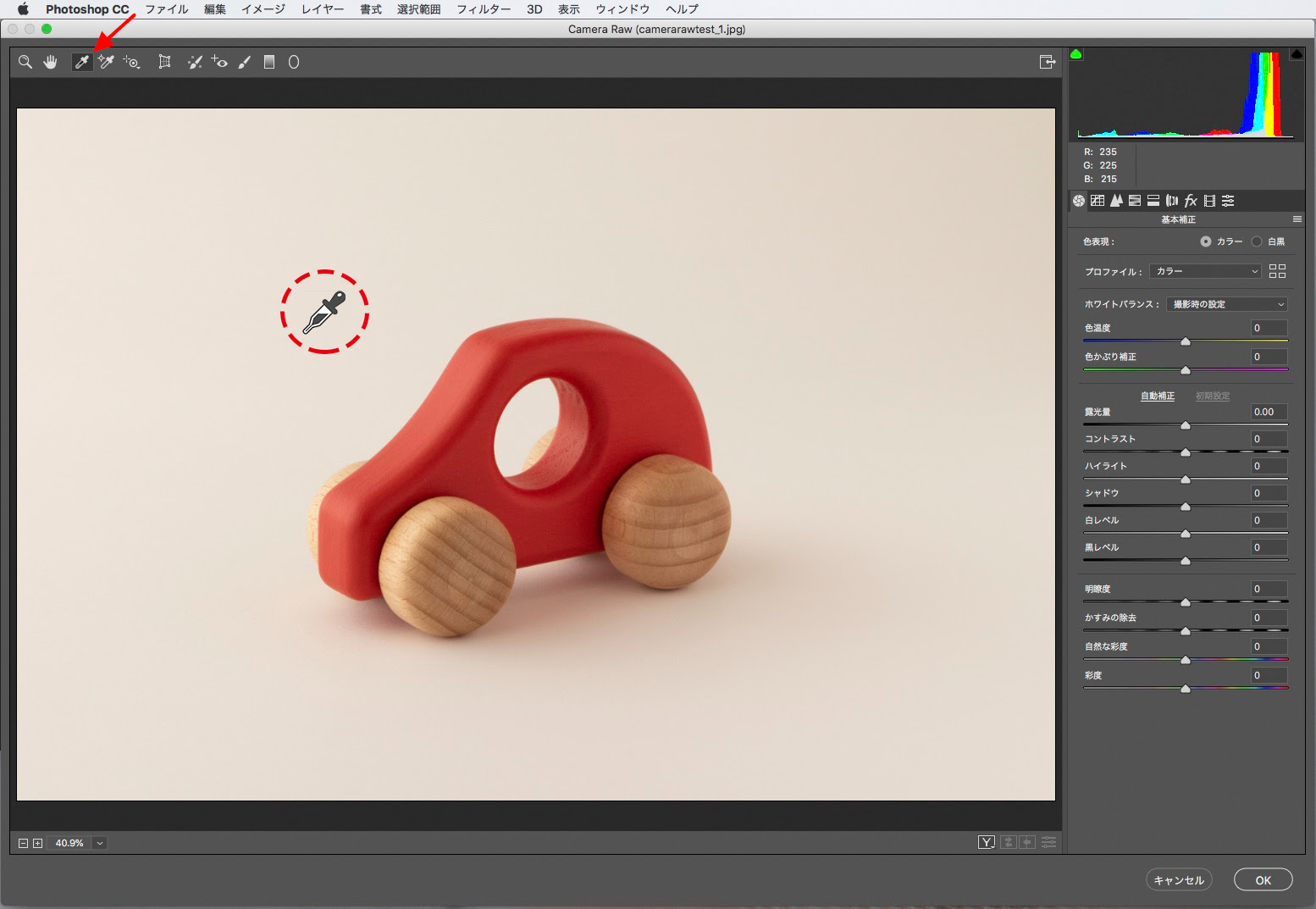 フォトショップで簡単 写真補正 Camera Raw フィルターで実践