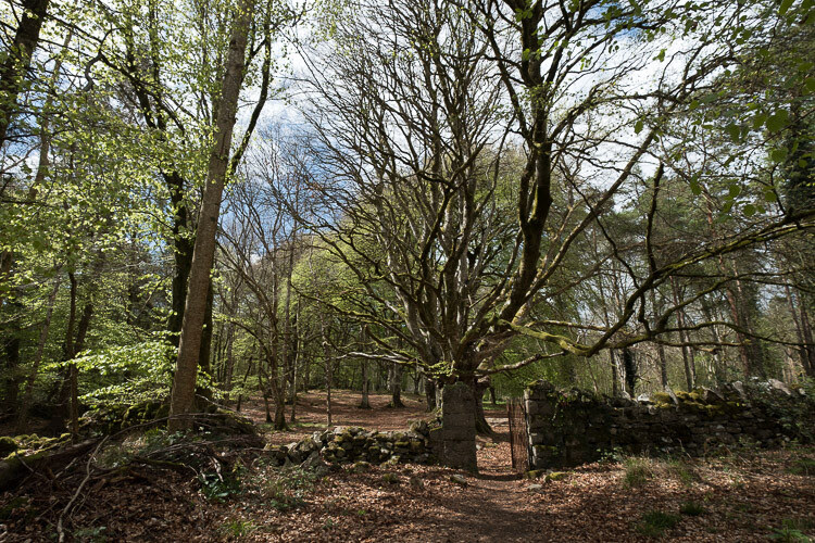 My 5 Favorite Lightroom Sliders