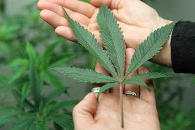 pot