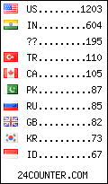 visitors by country counter