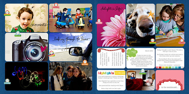 March 2011 - Project Life