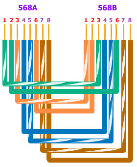 Cat5 Wiring on Networking Guide   Category 5 Wiring Scheme   Straight Through Cable