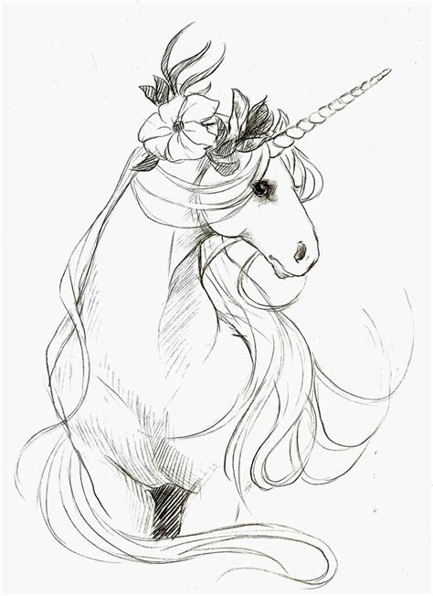 unicorn sketch ideas  pinterest unicorn