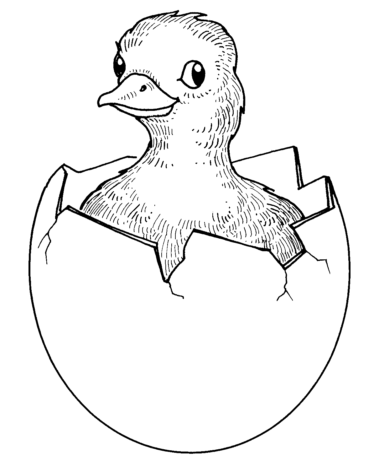 Free Baby Animals Clipart Black And White Download Free Baby Animals Clipart Black And White Png Images Free Cliparts On Clipart Library