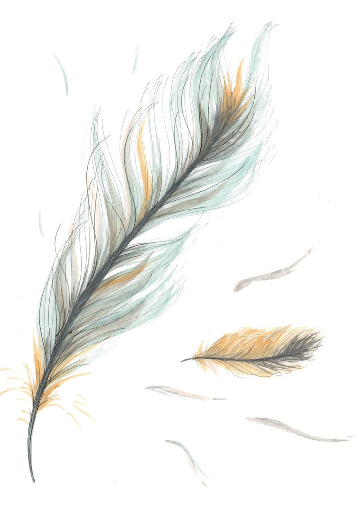Feather Drawing, Pencil, Sketch, Colorful, Realistic Art ...