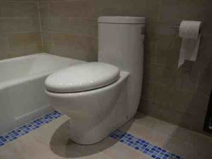 elongated toilet