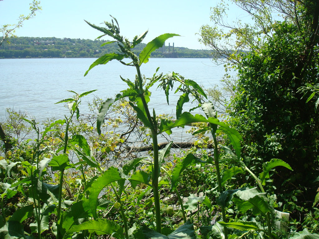 DSC03960