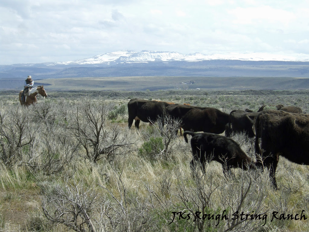 Great Basin Cattle Country