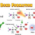 Formation of Dipeptide Bond