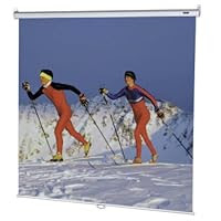 Da-Lite 40840 70-Inch X 70-Inch Class-Rite Projection Screen
