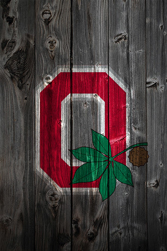 ohio state buckeyes wallpaper. Ohio State Buckeyes Alternate