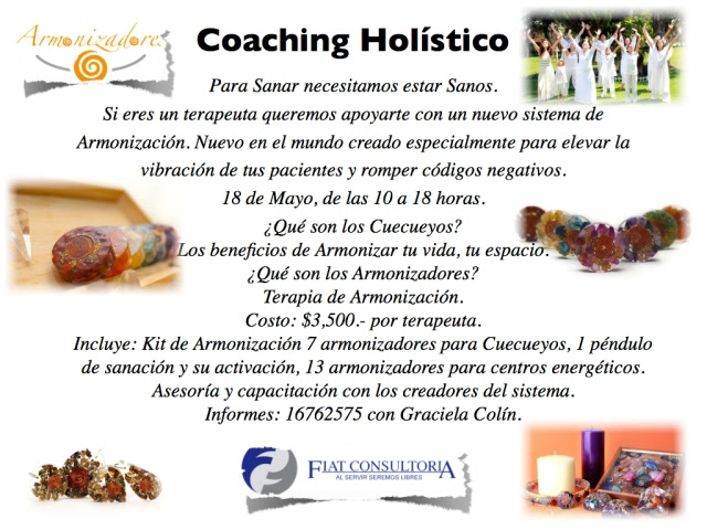 Resultado de imagen para coaching holistico