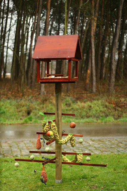 vogelboom