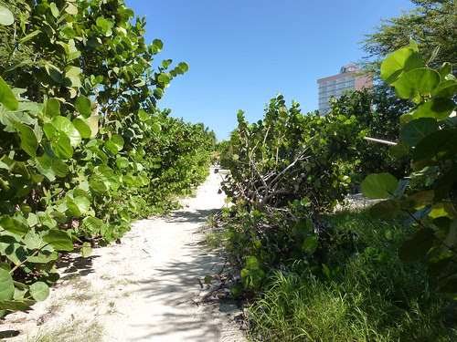 Aruba
