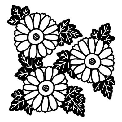 キク8 キク 菊 秋の花 無料 白黒イラスト素材