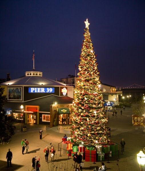 サンフランシスコ Pier39 のクリスマスツリー ライティング Risvel