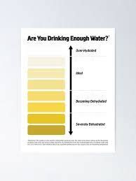  urine colors chart google search chart color chart pie chart