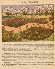 premchoses p39