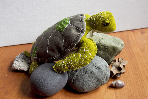 green sea turtle