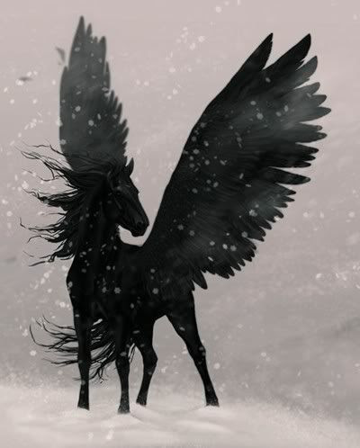 Flight