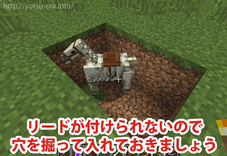 マインクラフト スケルトンホースを捕まえよう サドルも装着可能