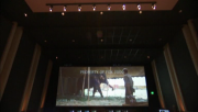 imagebam.com