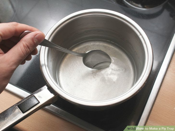 Make a Fly Trap Step 34 Version 3.jpg