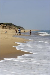 7 Pantai Terindah Di Amerika Serikat.serbatujuh.blogspot.com