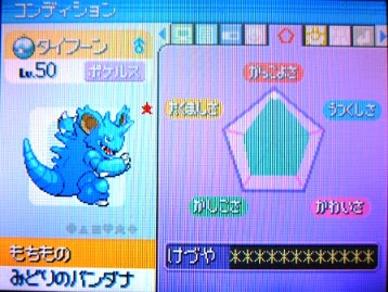 リボンきち 高級ポフィンでうはうは