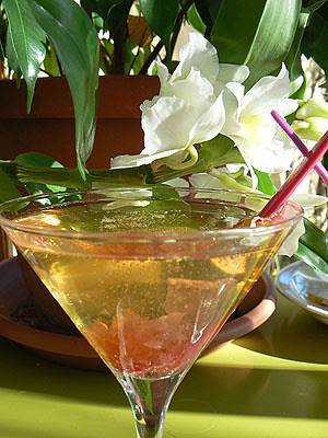 cocktail rose 1.jpg