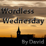 Wordless Wednesday by David