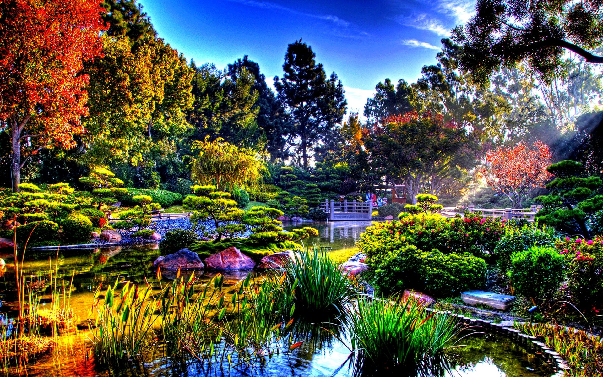 4K Nature Wallpaper Spring Japan (45+ images)