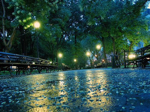 Rainy Night, Central Park, New York City
