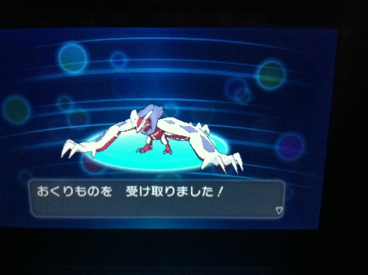 イベルタル 色違いに釘付け