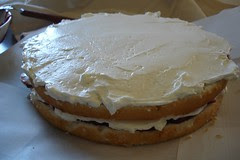 Perfect Party Cake (Dorie Greenspan Recipe)