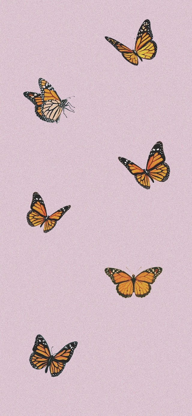Aesthetic Tumblr Butterfly Wallpaper Iphone X