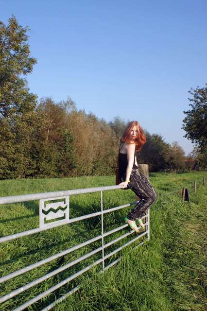 Image Hosted by ImageShack.us