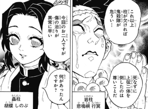 悲鳴嶼はかつて しのぶを救っている 鬼滅の刃 Alwofnce