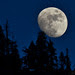 Yosemite Moonrise