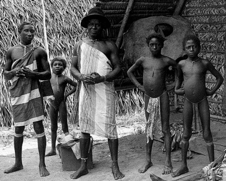 Dutch maroons