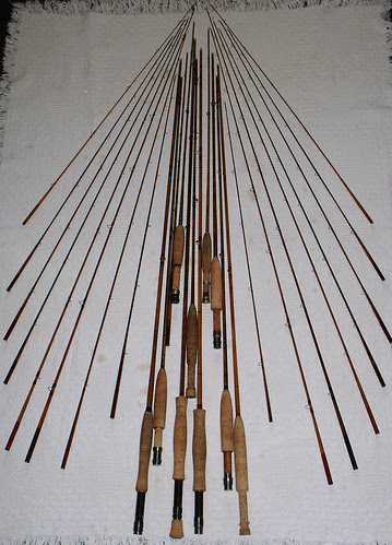 Bamboo tree