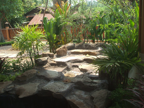 New Thai Garden Transformation (nearly) complete - Thai Garden ...