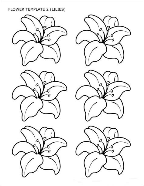  free 6 sample flower templates in pdf