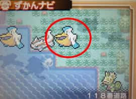 野生ポケモンの持ち物 アイテム一覧 ポケモンoras攻略de Com
