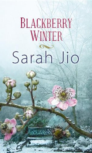 Blackberry Winter (Center Point Premier Fiction (Large Print)), by Sarah Jio