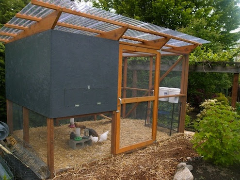 Chicken Wire Projects - 5 Things to Do - Bob Vila
